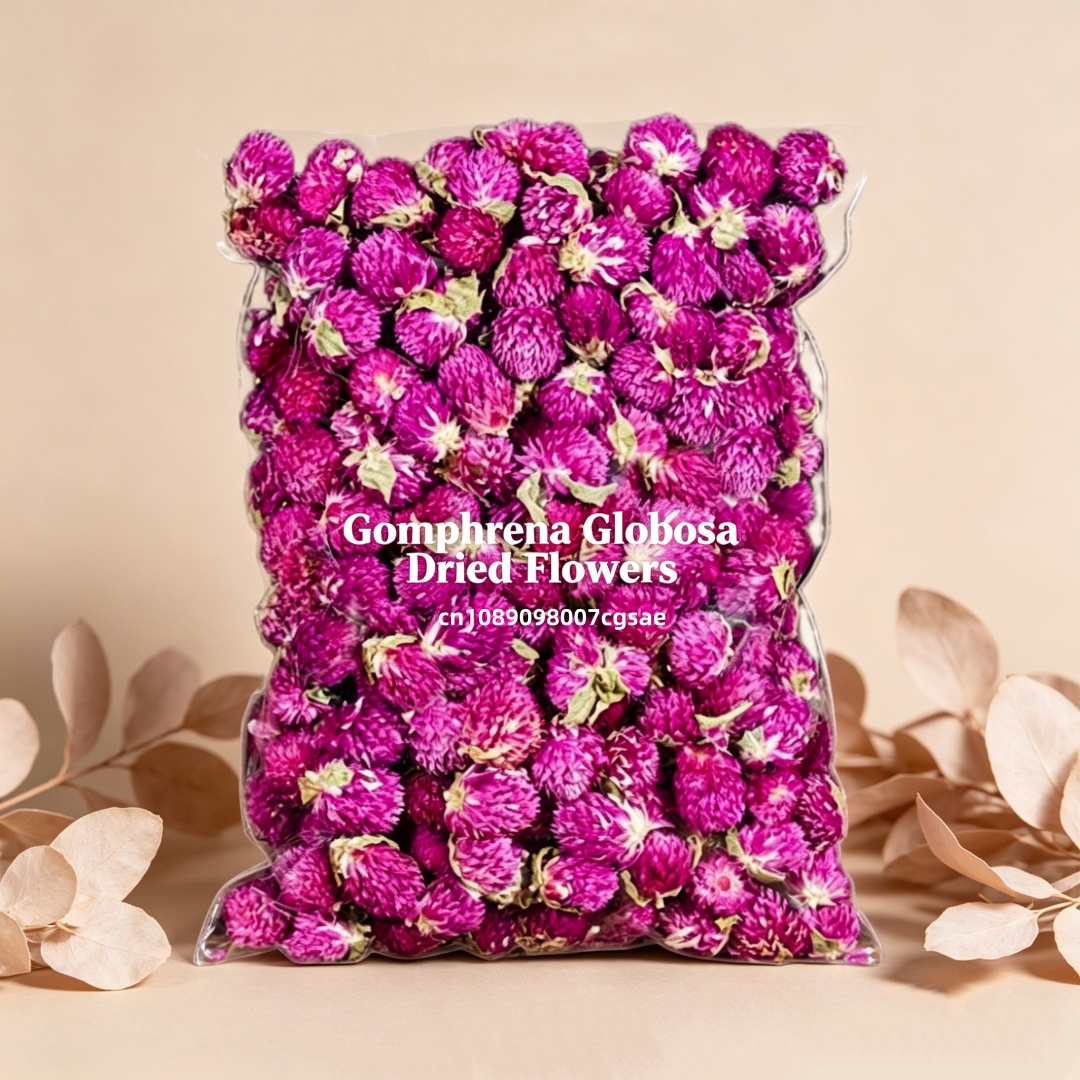 Candle Making And Perfume - Yüksek Kaliteli Doğal Gomphrena Kurutulmuş Çiçekleri